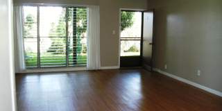 Coconut Inn Gallery 1