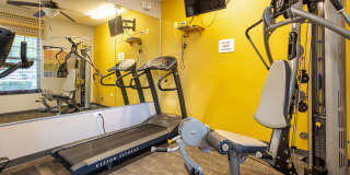 Congress Parkway Gallery 10