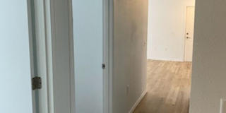 Terre View Gallery 9