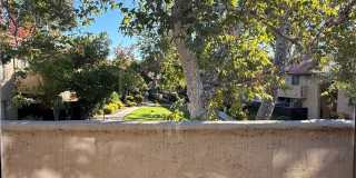 111 W Avenida de los Arboles Gallery 5