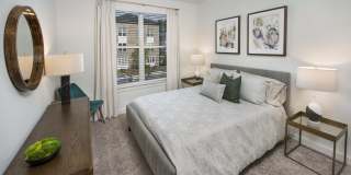 The Statesman Gallery 6