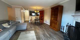 Furnished 2BR, 2BA Condo with Backyard in Arlington Gallery 4