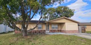 411 Edwin St Gallery 1