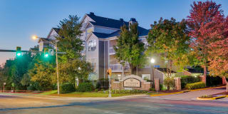 Windsor Herndon Gallery 2