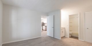 Canter Chase Gallery 23