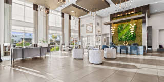 Axis Camelback Gallery 15