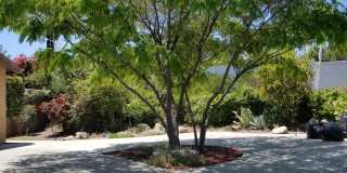 Coming Soon, Beautiful 4 bedroom home for rent Coming Soon, Beautiful 4 bedroom home for rent Gallery 13