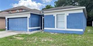 3831 Cinnamon Fern Loop Gallery 1
