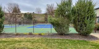 307 East Grove Creek Lane Gallery 15