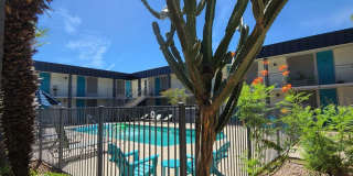 Scottsdale 5th Scottsdale 5th Gallery 113