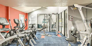 Rise West Arlington Gallery 75