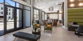 Alta Surprise Gallery 8