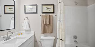 Northlake Gallery 18
