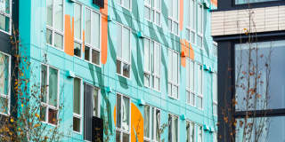 The Piper Gallery 24