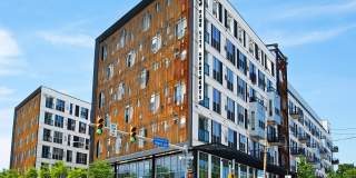 Albion At Morrow Park Gallery 1