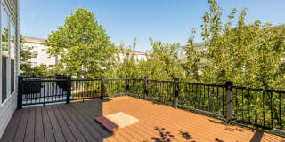 42268 Riggins Ridge Terrace Gallery 17