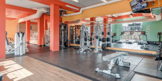 Blue and Lime Gallery 16