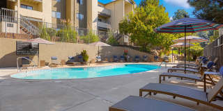 Sofi Belmar Gallery 15