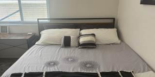 49544 Wayne Street Gallery 49