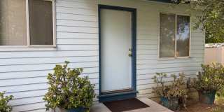 Country Environment in Town Gallery 2