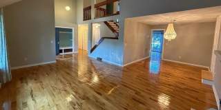 2 Tabby Lane Gallery 6