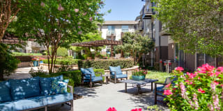 City North Gallery 24