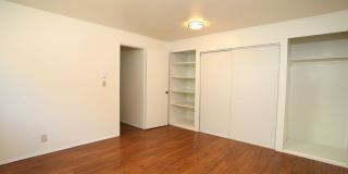 Angeline Gallery 42