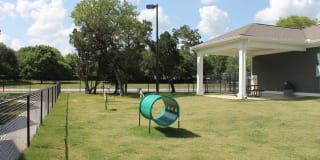 Springs at McKinney Gallery 28