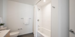 Collection 14 Gallery 8