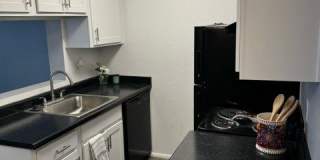 Ashford Apartments Gallery 14