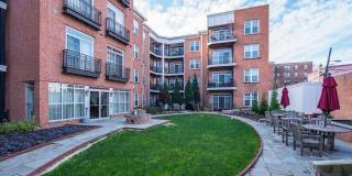 1 bed/ 1 bath Right off Meridian Hill Park with Reserved Parking! Available July 10! Gallery 4