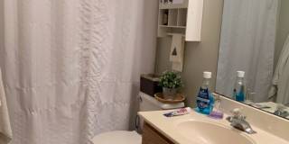 Beautiful Condo Near BYU and Provo Rec Center Gallery 6