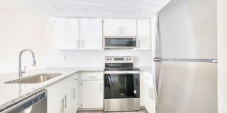 The Avanti Gallery 1