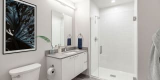 The Chestnut Gallery 10