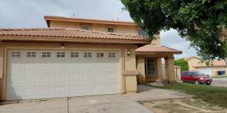 1019 Olive Way Gallery 1