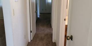 No Deposit Gallery 16
