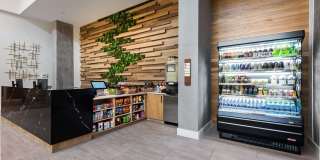 Troubadour Gallery 58