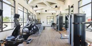 The Mayfair Gallery 25