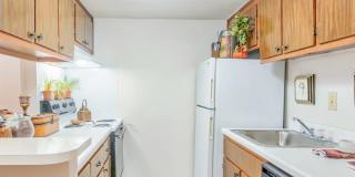 South Oaks Gallery 10