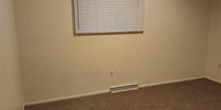 Massive - Remodeled 5 bedroom home!! Gallery 6