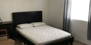 Private large 4 bed NextGen, with double living rooms, kitchens and laundries. Gallery 43