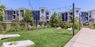 Windsor at Manhattan Gallery 75