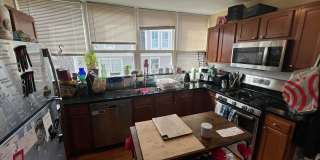 HUGE FOUR BED IN SOMERVILLE!!!!!!!! Gallery 17