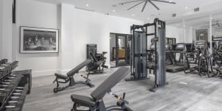 Mercato Grove Gallery 17