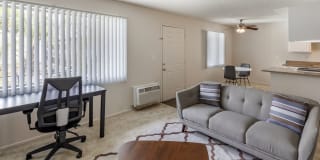 AVA Burbank Gallery 30