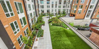 Ellis at Bel-Red Gallery 21