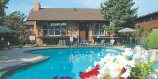 Forest Cove Gallery 2