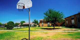 Cross Timbers at Grand Street Gallery 6