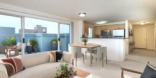 Novi at Queen Anne Gallery 13