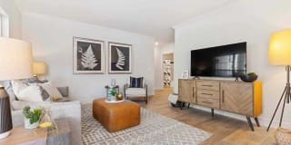 Sofi at Salem Station Gallery 5